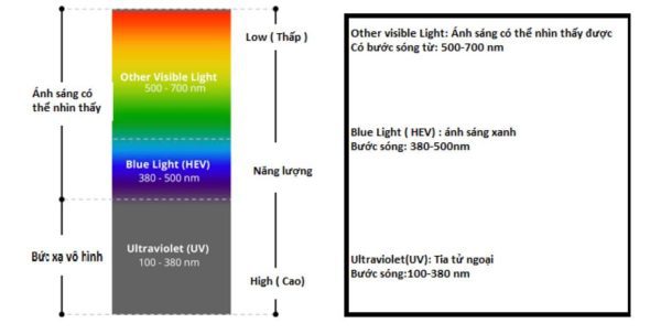 Tròng Kính Chống Ánh Sáng Xanh Hàn Quốc Hoga Blue Cut 1.56 - Ảnh 2