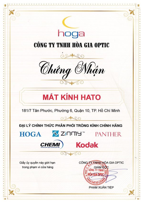 Tròng Kính Đổi Màu Khói Hoga 1.56 SHMC - Ảnh 4