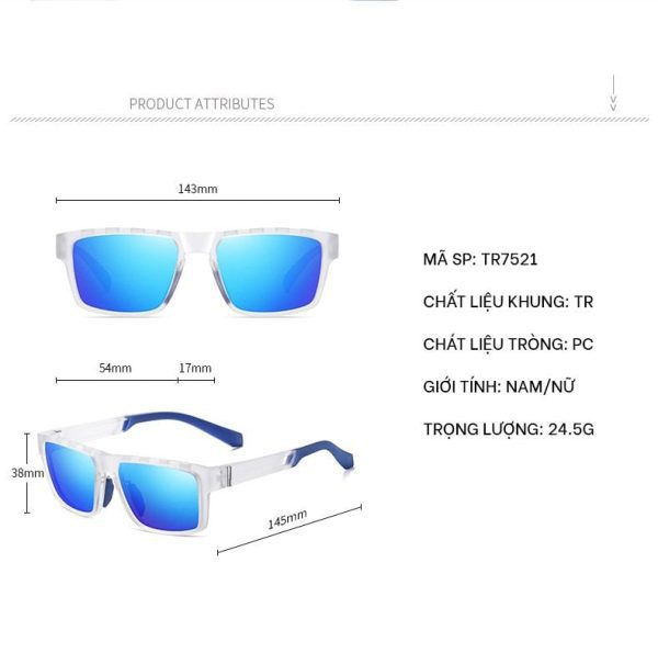 Kính Mát Nam Nữ Phân Cực Polarized Jason TR7521 - Ảnh 4