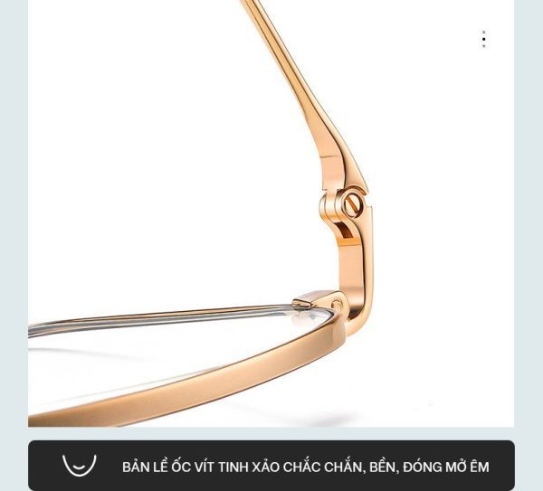 Gọng Kính Hợp Kim Baggio LD220 - Ảnh 7
