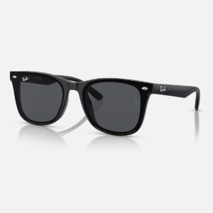 Kính Mát RayBan Wayfarer 0RB4391D