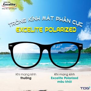Tròng Kính Mát Phân Cực Chống Lóa Excelite PolarView 1.50 HMCS
