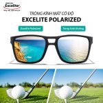 Tròng Kính Mát Phân Cực Chống Lóa Excelite PolarView 1.50 HMCS - Ảnh 3