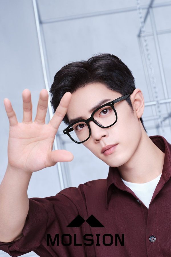 Gọng Kính Molsion MJ3069 Chính Hãng - Ảnh 2