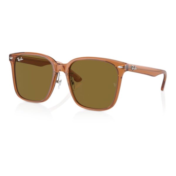 Rayban-0RB2206D-sunglasses-kinh-mat (14) 0RB2206D