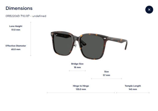 Rayban-0RB2206D-sunglasses-kinh-mat (15) 0RB2206D