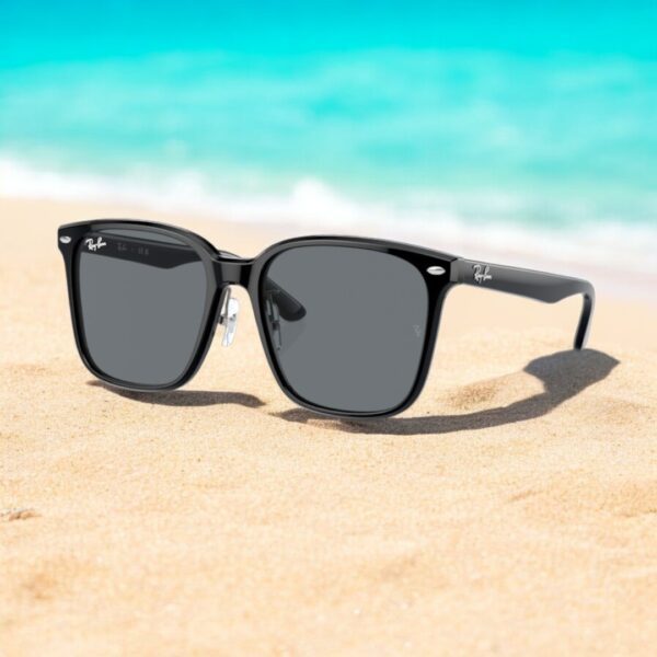 Rayban-0RB2206D-sunglasses-kinh-mat (9) 0RB2206D