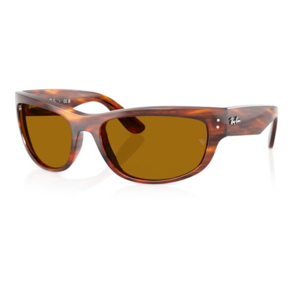 0RB2289 - Mega balorama