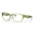 819203 - Matt transparent fern