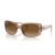 6644M2 - Transparent brown
