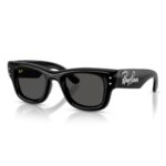 Kính Mát Ray-Ban 0RB4940B Wayfarer Puffer
