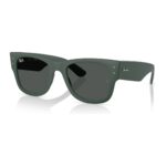 Kính Mát RayBan 0RB4840S – Tem Chính Hãng Luxottica - Ảnh 3