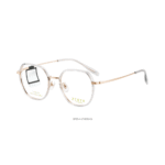 Gọng Kính Tròn Zenta DP25-A-ZT8025 Chính Hãng