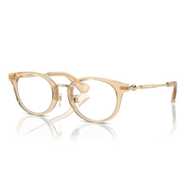 Burberry 0BE2413D 4063 - Brown