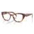 22A1O1 Poppy tortoise
