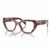18N1O1 Cognac begonia tortoise
