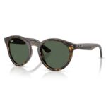 Kính Mát Oval RayBan 0RBR0505S