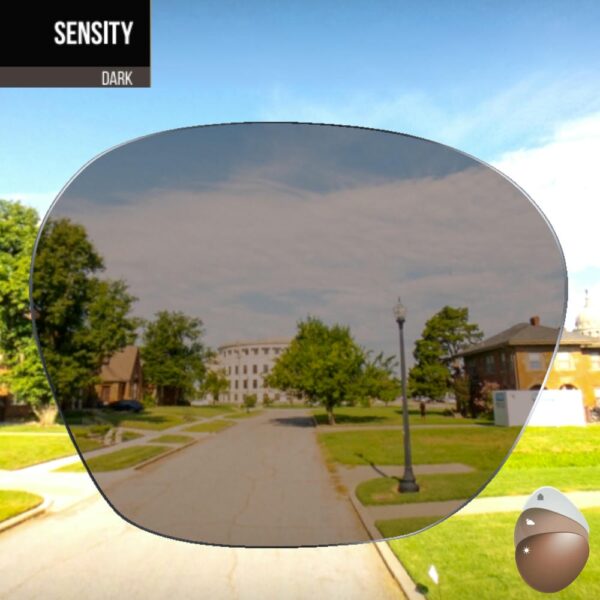 Tròng Kính Đa Tròng Đổi Màu Hoyalux iD LifeStyle Balansis Thiết Kế Theo Người Dùng