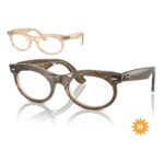 RayBan Wayfarer Oval 0RX2242VF Gọng Kính - Tem Chính Hãng Luxottica