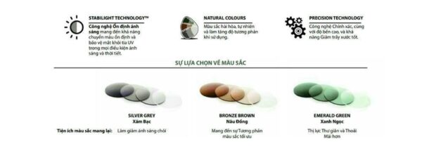 Hoyalux Amplitude Plus Tròng Kính Đổi Màu Đa Tròng – Thích Nghi Nhanh, Dễ Sử Dụng