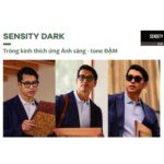 Tròng Kính Đa Tròng Đổi Màu Cá Nhân Hóa Hoyalux MyStyle V+ Cao Cấp – Chính Hãng