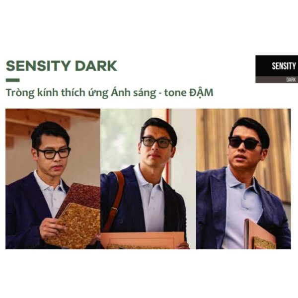 Tròng Kính Đa Tròng Đổi Màu Cá Nhân Hóa Hoyalux MyStyle V+ Cao Cấp – Chính Hãng