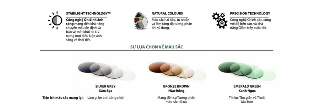 Tròng Kính Đa Tròng Đổi Màu Cá Nhân Hóa Hoyalux MyStyle V+ Cao Cấp – Chính Hãng