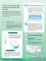 Kính Áp Tròng Loạn Thị 2 Tuần SEED 2weekPure UP for Astigmatism