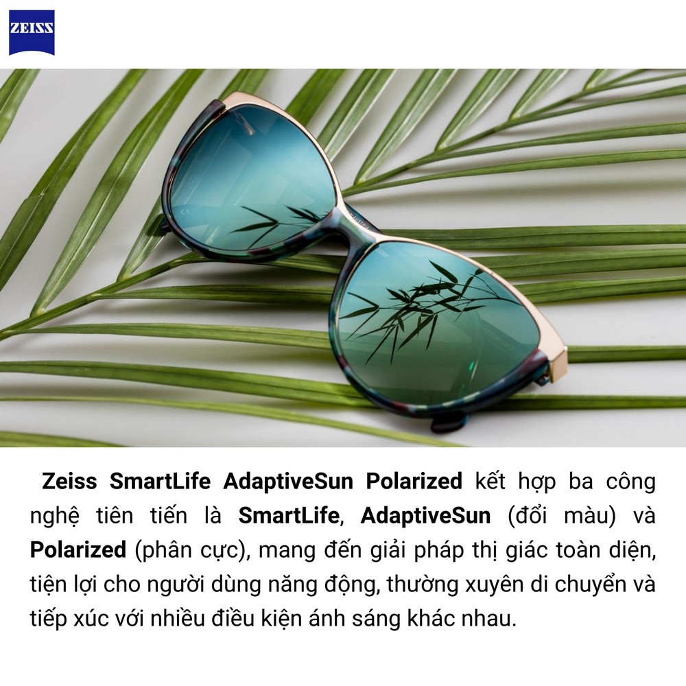 Zeiss SmartLife AdaptiveSun Polarized Tròng Kính Râm Đổi Màu Phân Cực Thông Minh
