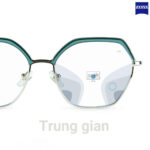 Zeiss Light 2 D Tròng Kính Đa Tròng BlueGuard với Lớp Phủ DuraVision Gold - Ảnh 15