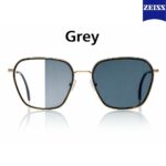 Zeiss Digital Light 2 3D