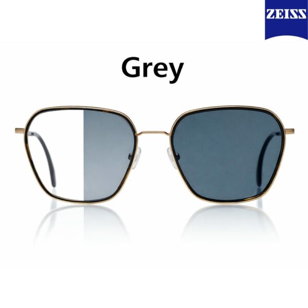 Zeiss Digital Light 2 3D