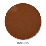 Zeiss Polarized – Tròng Kính Đơn Tròng Phân Cực Kết Hợp Lớp Phủ DuraVision