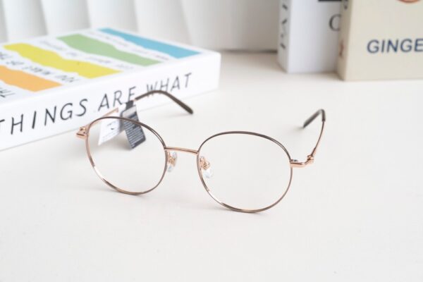 Zenta DP25-A-ZT8216 Gọng Kính Tròn Titanium – Chính Hãng