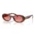 26E50U Striped tobacco