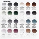 Zeiss SmartLife Pure/Plus/Superb/Individual - Tròng Kính Đa Tròng Nhuộm Màu Chuẩn Đức