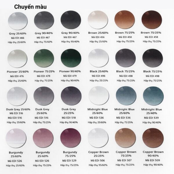 Zeiss SmartLife Pure/Plus/Superb/Individual - Tròng Kính Đa Tròng Nhuộm Màu Chuẩn Đức