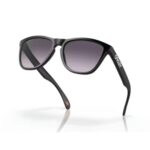 Oakley Frogskins A 0OO9245 Kính Mát - Tem Chính Hãng Luxottica