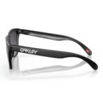Oakley Frogskins A 0OO9245 Kính Mát - Tem Chính Hãng Luxottica