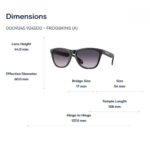 Oakley Frogskins A 0OO9245 Kính Mát - Tem Chính Hãng Luxottica