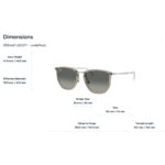 Kính mát RayBan 0RB4451 - Tem Chính Hãng Luxottica