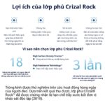 Tròng Kính Kiểm Soát Cận Thị Trẻ Em Essilor Myopilux Max Crizal Rock & Crizal Prevencia - Chính Hãng
