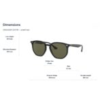 Kính Mát Rayban 0RB4306F Polarized – Tem Chính Hãng Luxottica