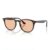 623193 Transparent brown