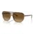 1292M2 Havana on transparent brown