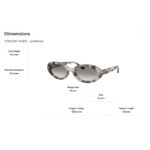 Kính Mát RayBan 0RB2223F – Tem Chính Hãng Luxottica