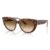 141451 Light havana on transparent multicolour