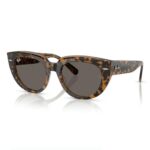 RayBan Doreen 0RB2286F Kính Mát Mắt Mèo - Tem Chính Hãng Luxottica