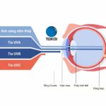Tokai 1.70 Sereno IS SPS UV400 – Kính Đa Tròng Nhật Bản Siêu Mỏng