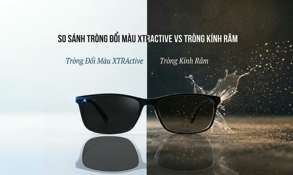 Tròng Đổi Màu XTRActive hay Tròng Kính Râm, tròng nào tốt hơn?